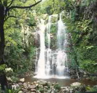 Budderoo National Park - The Falls Walk - Accommodation in Bendigo