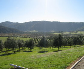 Hastings Valley Olives - Accommodation in Bendigo 0