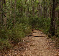 Pigeon House Mountain Didthul walking track - Accommodation in Bendigo