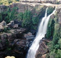 Minnamurra Rainforest Centre Budderoo National Park - Accommodation in Bendigo