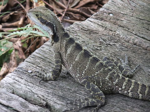 Campbells Store Craft Centre - Accommodation in Bendigo 1