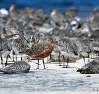 Cooloola Nature - Accommodation in Bendigo