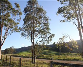 Tourist Drive 2 - Bucketts Way - Accommodation in Bendigo 1