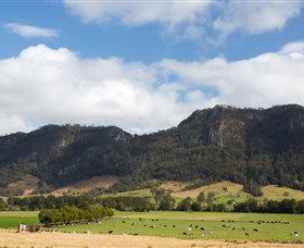Tourist Drive 2 - Bucketts Way - Accommodation in Bendigo 2