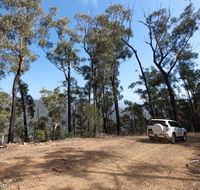 Wadbilliga Road drive - Accommodation in Bendigo