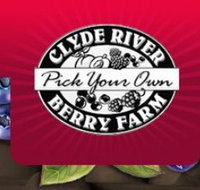 Clyde River Berry Farm - Accommodation in Bendigo