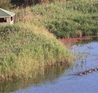 Spring Creek Wetlands Walk - Accommodation in Bendigo