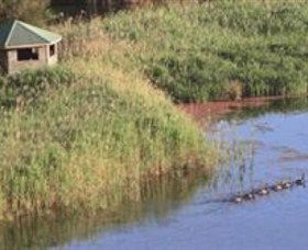 Spring Creek Wetlands Walk - Accommodation in Bendigo 0