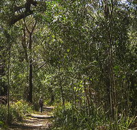 Sand track walk south - Accommodation in Bendigo