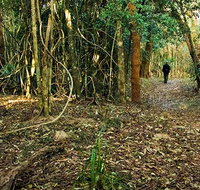 Sand track walk north - Accommodation in Bendigo
