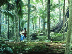 Illinbah Circuit - Accommodation in Bendigo 0