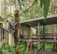 Daisy Hill Koala Centre