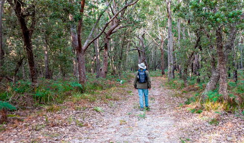Narrawallee Inlet Walking Track - Accommodation in Bendigo 1
