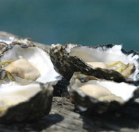 Jim Wilds Oyster Service - Accommodation in Bendigo