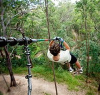 TreeTop Challenge - Accommodation in Bendigo