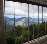 Dorrigo Rainforest Centre - Accommodation in Bendigo