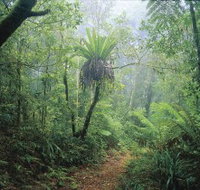 Wagawn - Accommodation in Bendigo