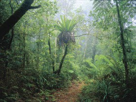 Wagawn - Accommodation in Bendigo 0