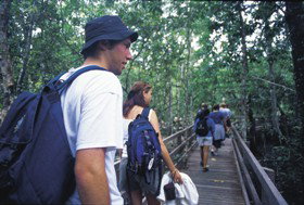 Wagawn - Accommodation in Bendigo 1