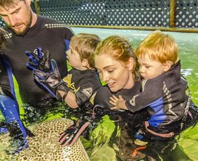 One Mile NSW Accommodation in Bendigo