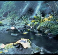 Coomera circuit - Accommodation in Bendigo