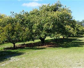 The Avocado Farm - Accommodation in Bendigo 1