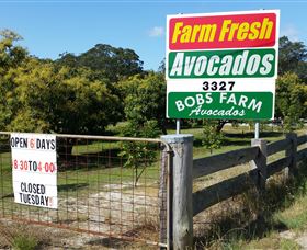 The Avocado Farm - Accommodation in Bendigo 3