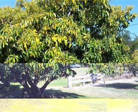 The Avocado Farm - Accommodation in Bendigo 2