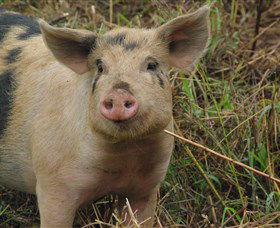 Bent On Food Cookery School - Accommodation in Bendigo 5
