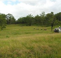 Numinbah Valley Adventure Trails - Accommodation in Bendigo