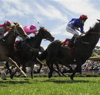Moruya Racecourse - Accommodation in Bendigo