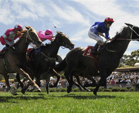 Moruya Racecourse - Accommodation in Bendigo 0