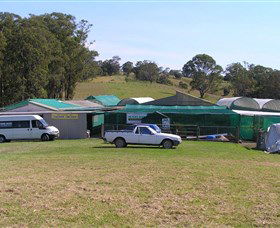Tinonee Orchid Nursery - Accommodation in Bendigo 0
