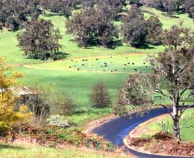 Blackwood River Tourist Drive - Accommodation in Bendigo 0