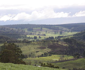 Blackwood River Tourist Drive - Accommodation in Bendigo 2