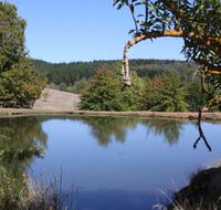 Oak Grove Walk Balingup - Accommodation in Bendigo