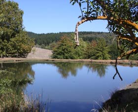 Oak Grove Walk, Balingup - Accommodation in Bendigo 0