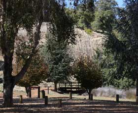 Oak Grove Walk, Balingup - Accommodation in Bendigo 2