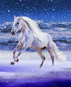 Australian Outback Spectacular: High Country Legends - Accommodation in Bendigo 1
