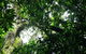Wollumbin National Park - thumb 1