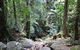 Wollumbin National Park - thumb 2