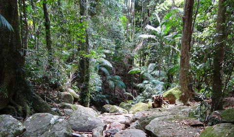 Wollumbin National Park - Accommodation in Bendigo 2