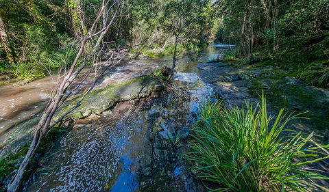 Dawson River Walking Track - Accommodation in Bendigo 0