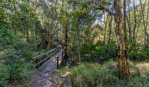 Dawson River Walking Track - Accommodation in Bendigo 1