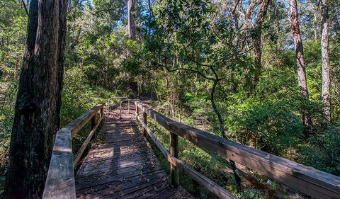 Dawson River Walking Track - Accommodation in Bendigo 3