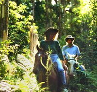 Clarendon Forest Retreat Horse Riding - Accommodation in Bendigo