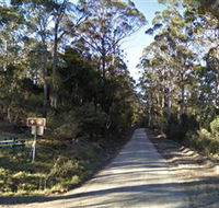 Box Cutting Rainforest Walk - Accommodation in Bendigo