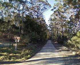 Box Cutting Rainforest Walk - Accommodation in Bendigo 0