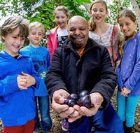 Wigay Aboriginal Culture Park - Accommodation in Bendigo