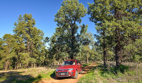 Wallingat Forest Drive - Accommodation in Bendigo 0